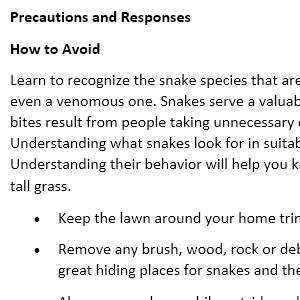 Excerpt with headings and subheadings