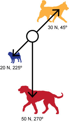 Dog Vector Diagram