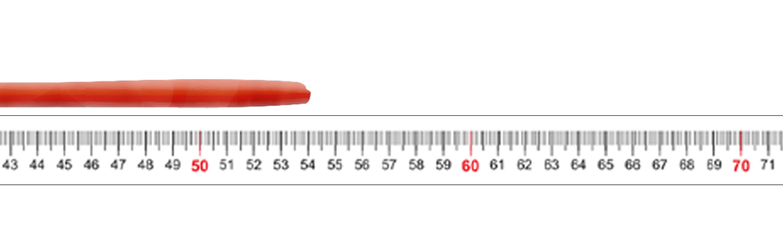 roll of clay measuring 54 cm. long.