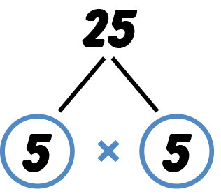 Factor tree for twenty five: twenty five, five times five.