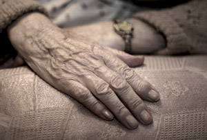 closeup of an elderly woman's hands