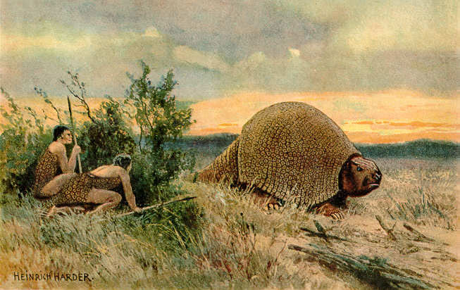 Glyptodon old drawing