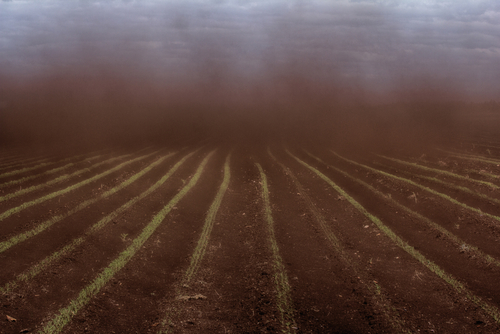 Black Blizzard (dust devil. dust whirl) on agricultural land. Loss of soil and crops. Everything is drowning in dense stream of dust.