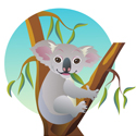 koala