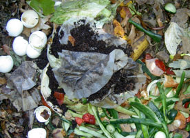 compost heap