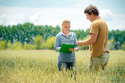 Farmer and agronomist discussing about future crop of wheat