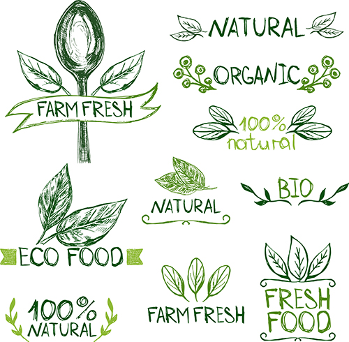 A series of logo sketches for organic food