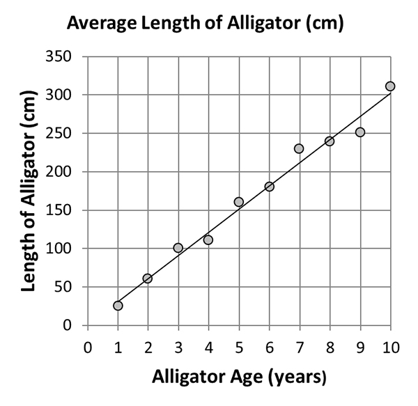 alligator best fit line