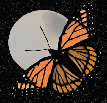 Butterfly against the moon