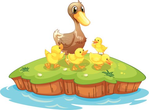 Five ducks on an island.