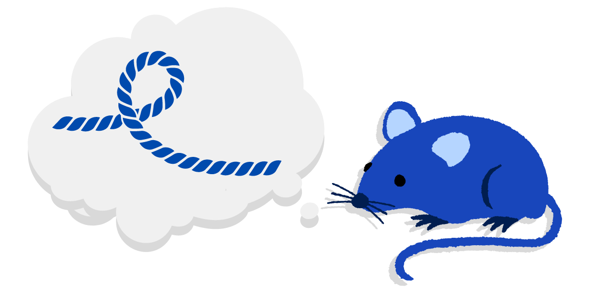 blue mouse
