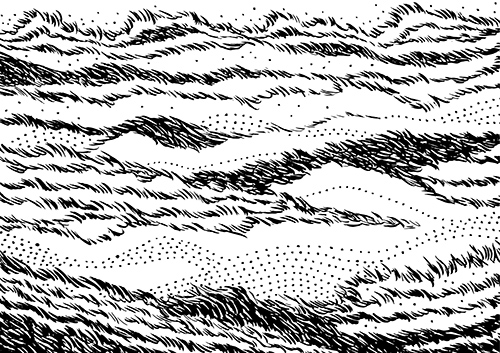 field of grass drawn with lines