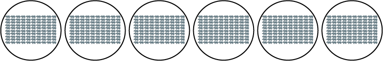 6 groups of 100 hippos
