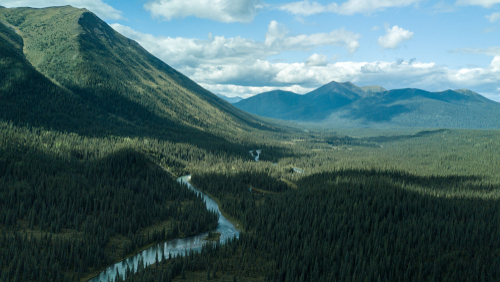 True wilderness. There is a river running through a remote Canadian forest, A cloudy but sunny day shows this untouched and uninhabited land. Very isolated from any sort of civilization.