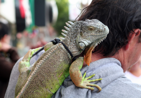 basic watercolor wash