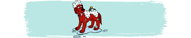 red dog getting a bath