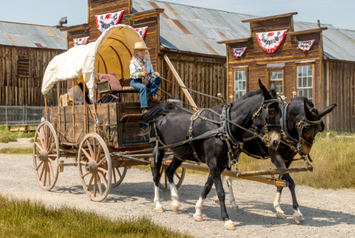 Living in the Past Lane Annual Festival at Bodie State Park. Bodie is a Ghost Town in Mono County California. Horse drawn wagon in old town.