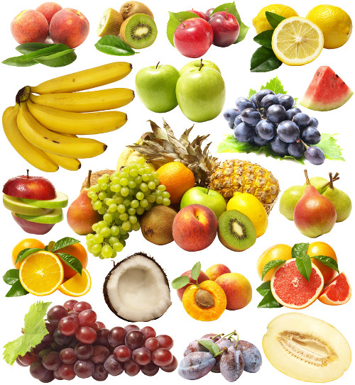 What Are the Food Groups?