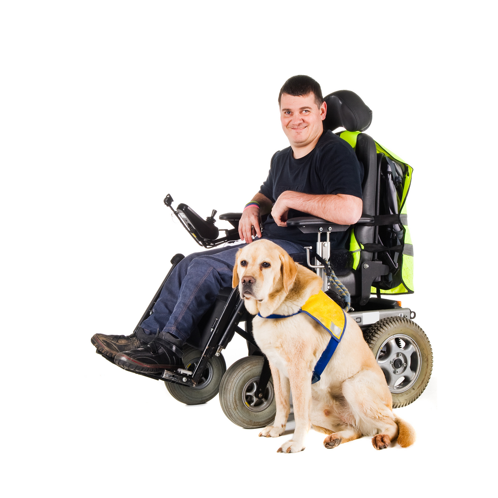 Person in wheelchair with service dog