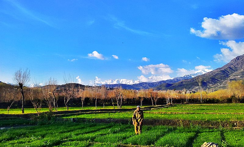 Farm fields outside a Pakistani village