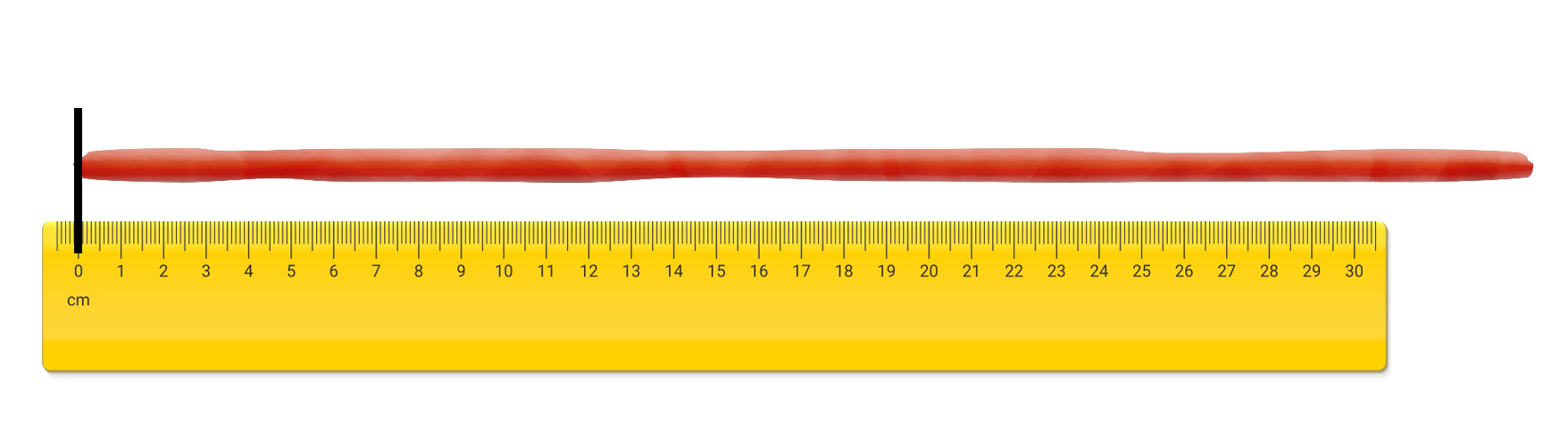 roll of clay above a ruler lined up to 0 cm.