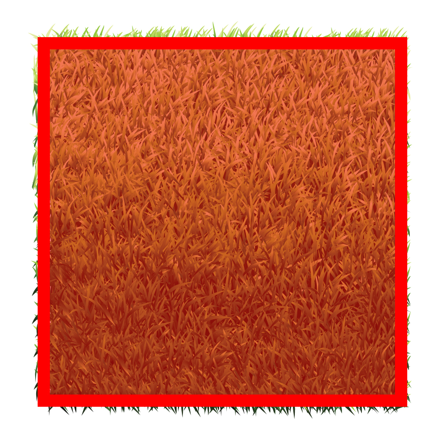 Square lawn with red shading over the lawn and a red border around the edges.