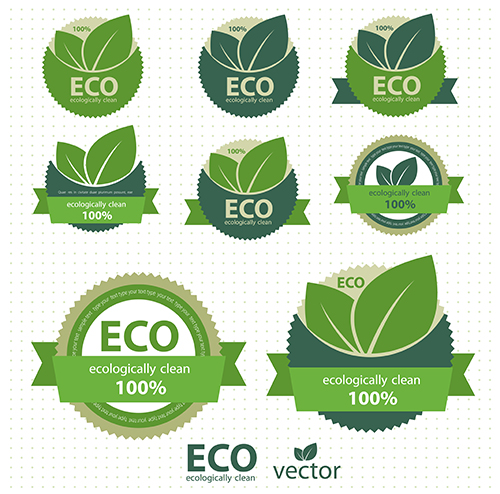 Different variations of a logo with two leaves and the word eco