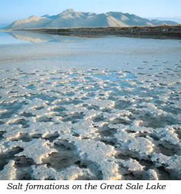 Salt Rocks Utah Utah