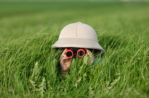 Little Boy with Binoculars and safari Hat, laying in the grass searching for Knowledge