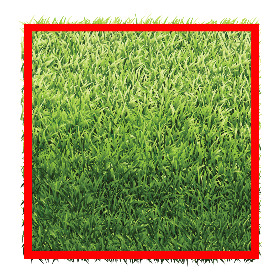 Square lawn with red border around the edges.
