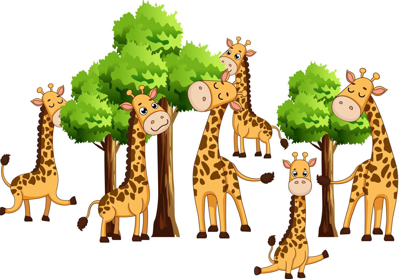 six giraffes