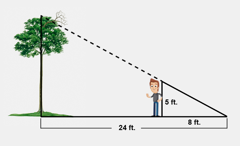 Eric next to a tree.