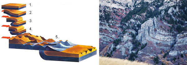 formation of folded mountains