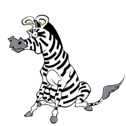 zebra
