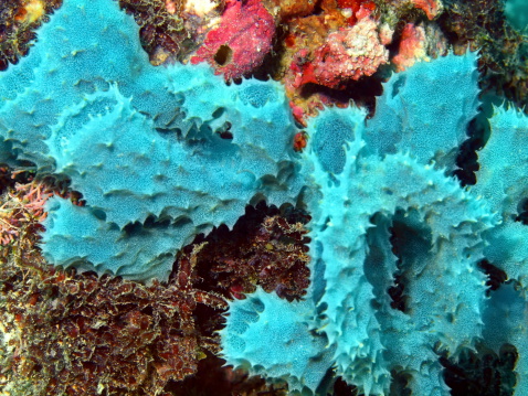 basic watercolor wash