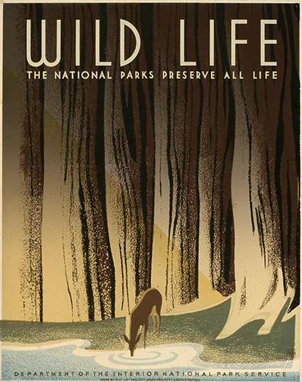 Wildlife poster from the National Park Service