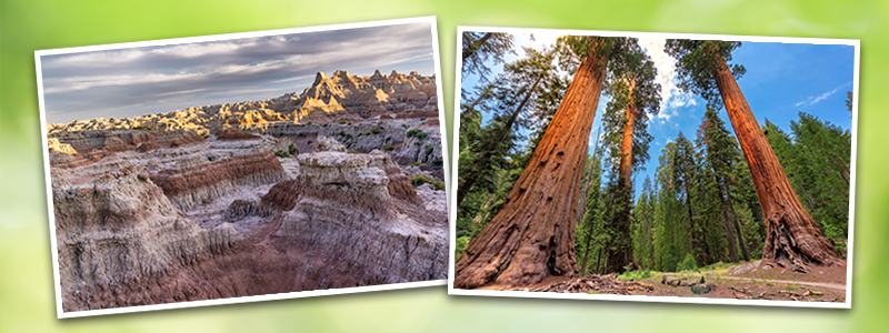 natural green background with Badlands, South Dakota and Redwood forest images.