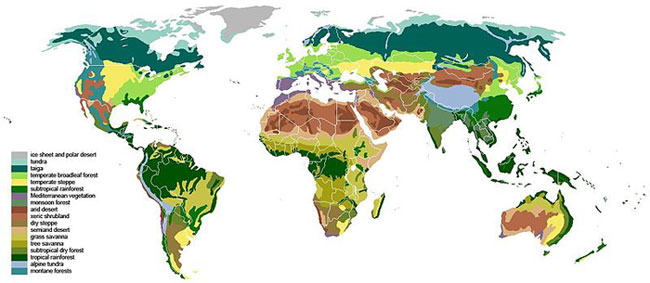 Zones