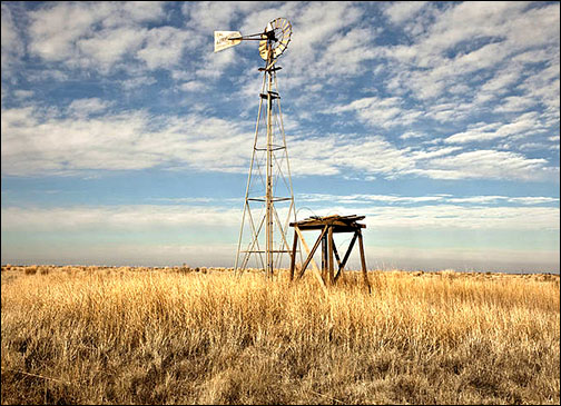 High plains of the Llano Estacado, Hockley County, Texas.