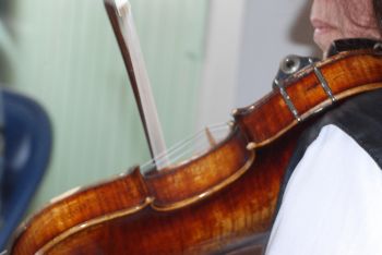 violinist