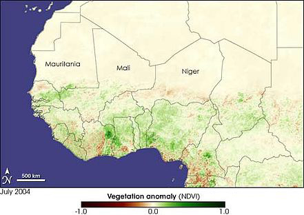 Density of Vegetation