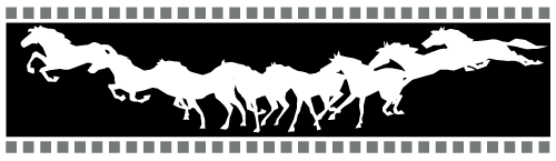 horse gallop on strip of film