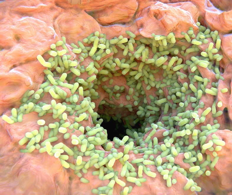 Bacteria Getting Cleaned Keeping It Clean