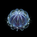 basic watercolor wash