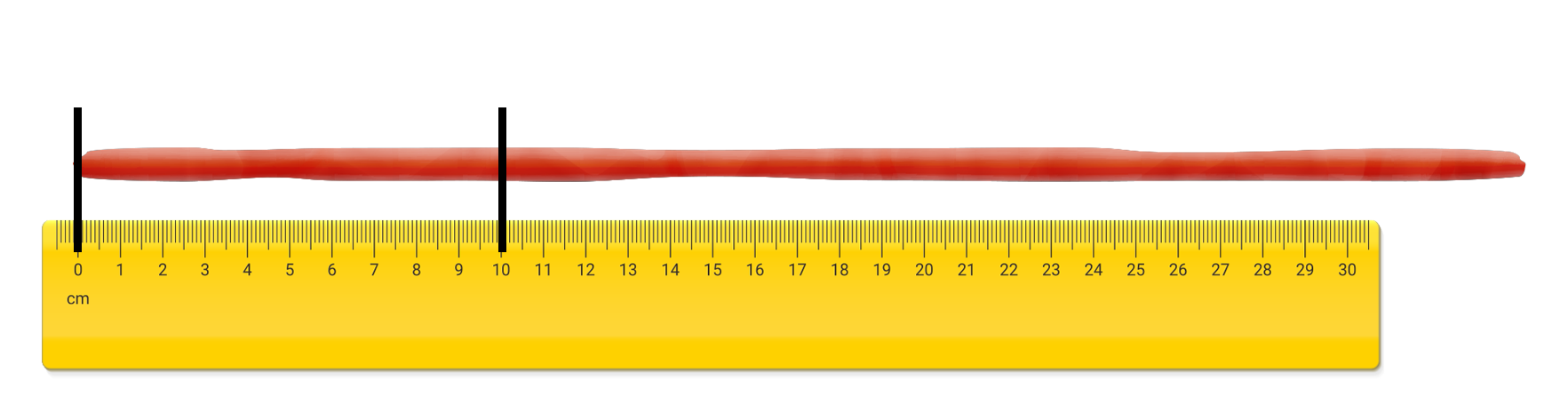Roll of clay above a ruler lined up to 0 cm. Line from 10 cm. to the roll of clay.