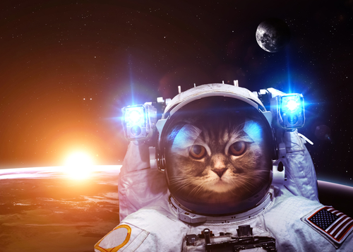 Composite image of a kitten in an astronaut suit floating in space 