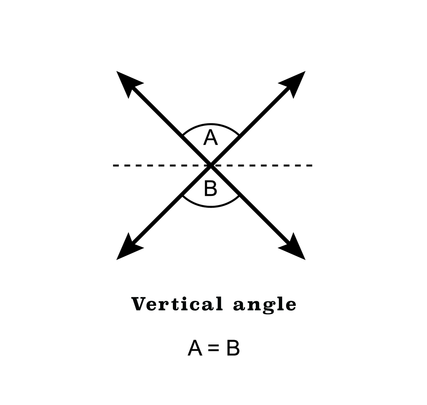 A detailed description of this image follows in the next paragraph.