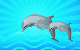 Two dolphins swimming in the ocean