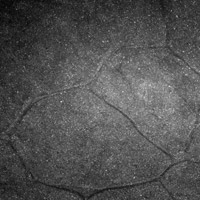 cracked_pavement
