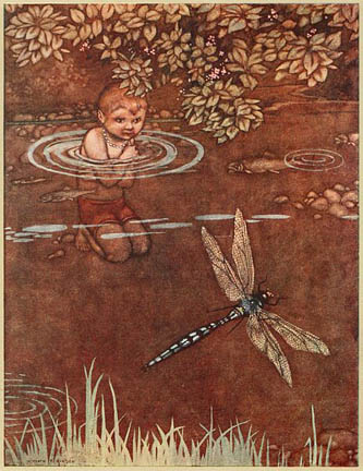 Illustration from Water Babies, published in 1915